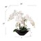 21-Inch White Phalaenopsis Orchid Arrangement in Black Ceramic Vase with Real Touch Foliage for Elegant Home Décor, Floral Home by Artificial Flowers
